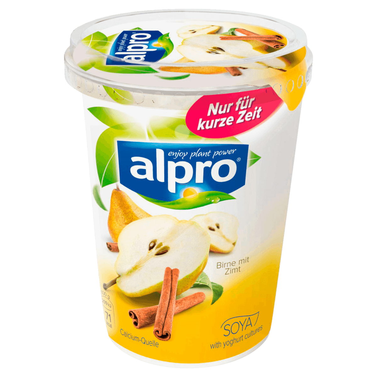 Soja-Joghurtalternative Birne-Zimt vegan 500g